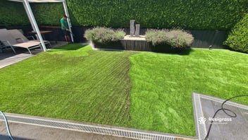Remove moss easily from your artificial turf!