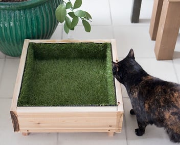 Kattenbed in kunstgras: DIY 