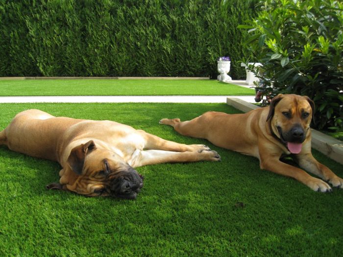 Kunstgras_ideaal_voor_grote_en_kleine_honden-Apr-27-2022-11-26-29-73-AM