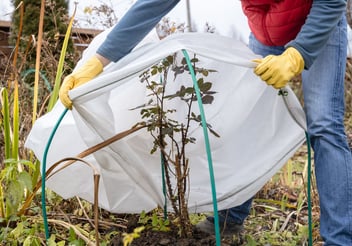 Maak jouw tuin winterklaar