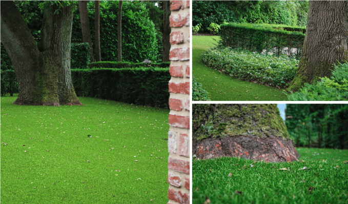 Schaduwrijke tuin met RGP437