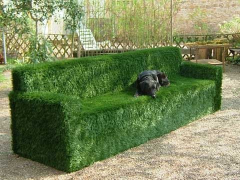 Bench artificial turf dog