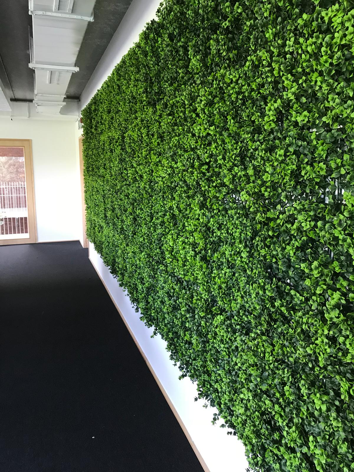 Mur végétal indoor bureau