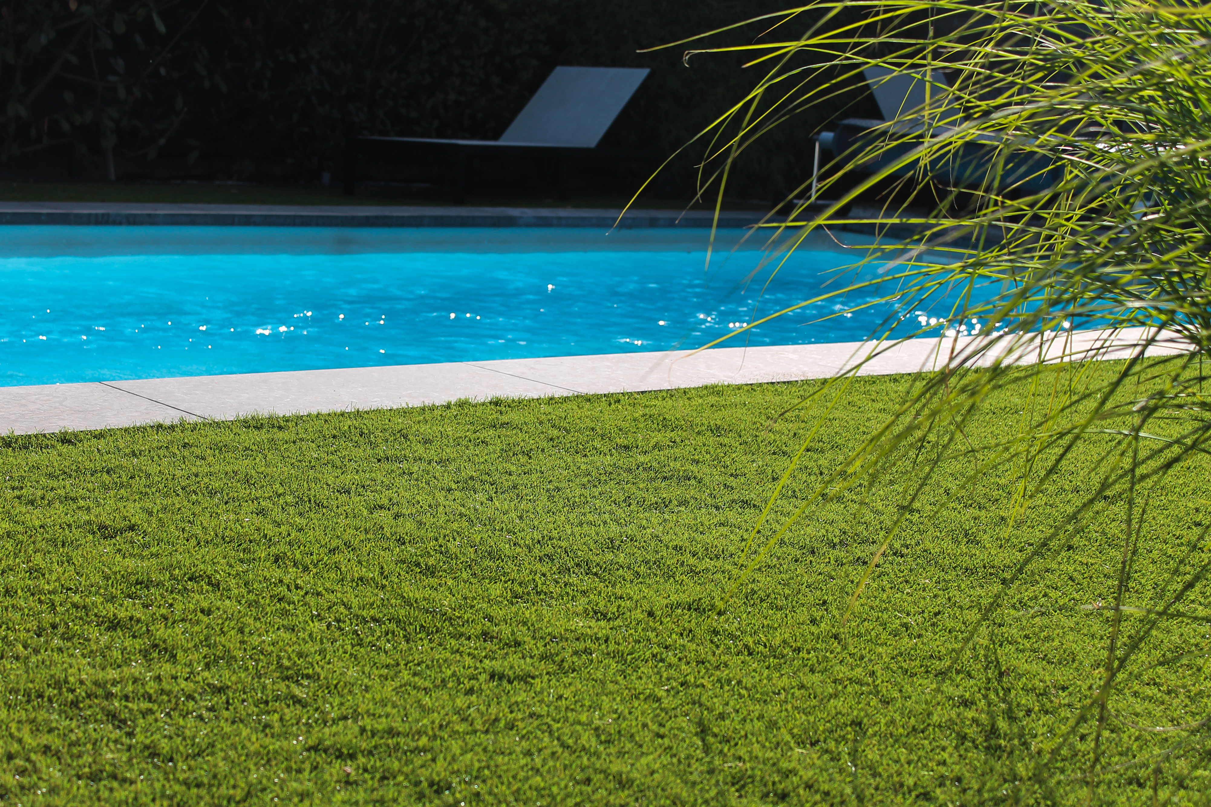 Resigrass Pro 551 ideaal rond een zwembad of vijver
