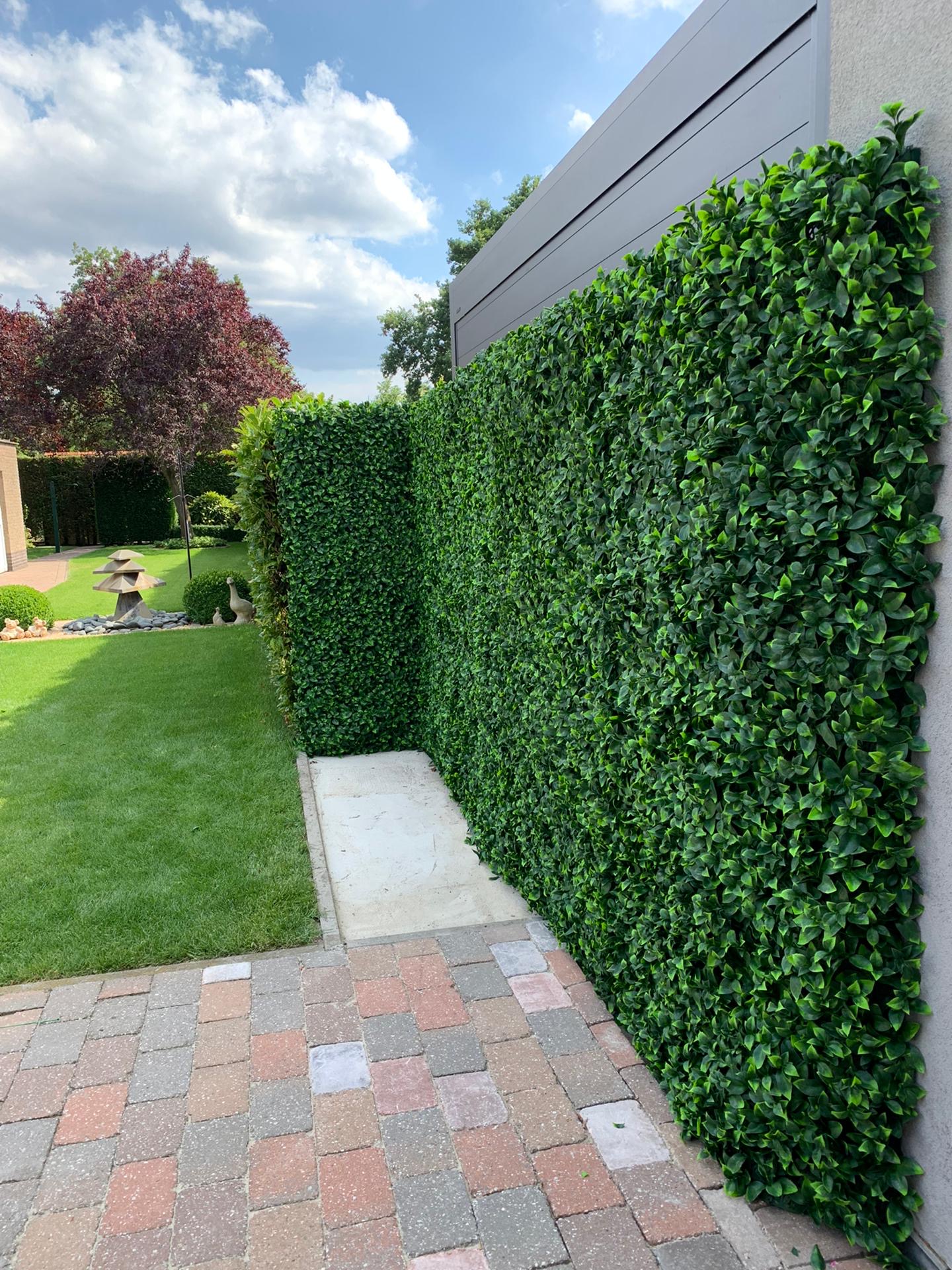 Artificial hedge Laurus