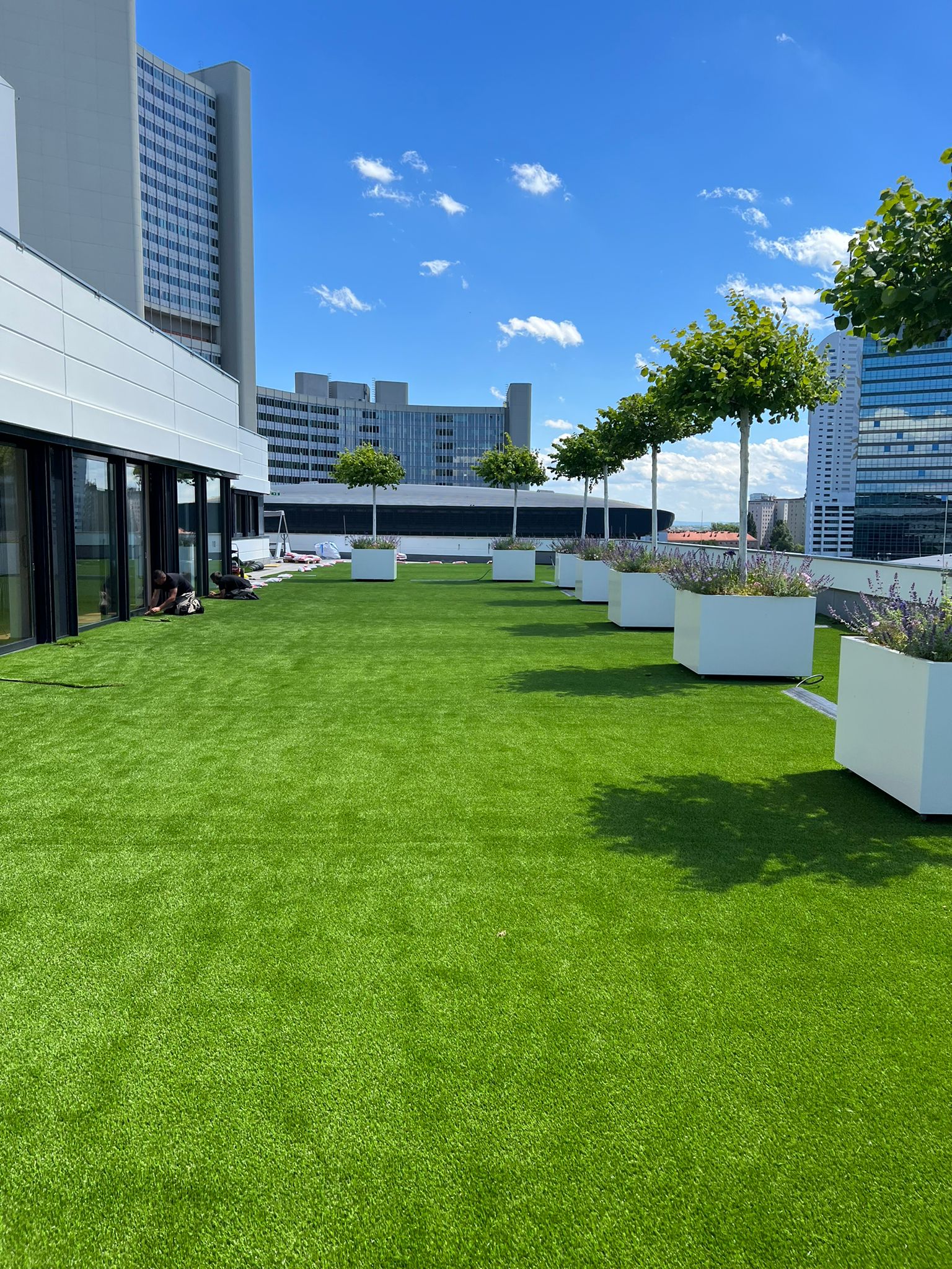 Resigrass for a green corporate roof terrace 