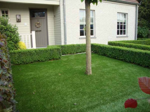 jardin devant toujours vert