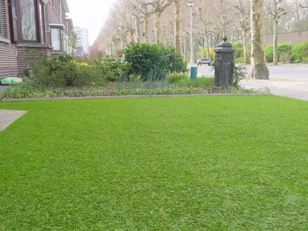 jardin devant la maison propre