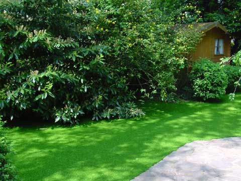 Artificial turf around vegetation