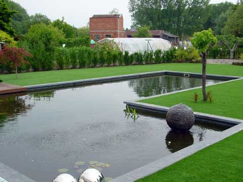Natural pool and artificial grass garden