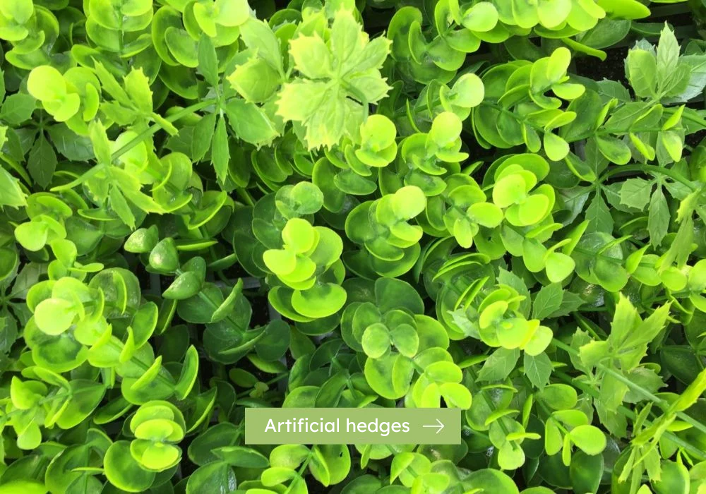 resigrass-artificial-hedges